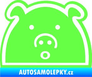 Samolepka Prasátko JDM styl Fluorescentní zelená