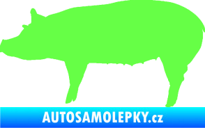Samolepka Prase 002 levá Fluorescentní zelená