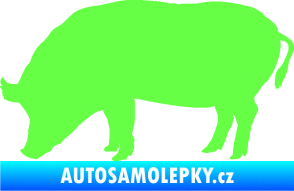 Samolepka Prase 004 levá Fluorescentní zelená