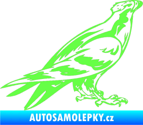 Samolepka Predators 006 pravá Fluorescentní zelená