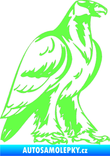 Samolepka Predators 040 pravá orel Fluorescentní zelená