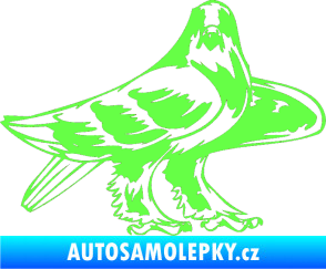 Samolepka Predators 047 pravá Fluorescentní zelená