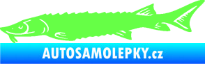 Samolepka Ryba 020 levá jeseter Fluorescentní zelená