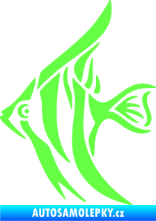 Samolepka Ryba 024  levá akvarijní skalára Fluorescentní zelená