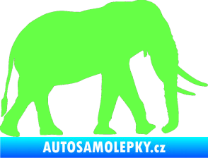Samolepka Slon 002 pravá Fluorescentní zelená