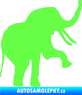 Samolepka Slon 005 pravá Fluorescentní zelená
