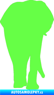 Samolepka Slon 008 pravá Fluorescentní zelená