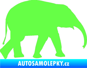 Samolepka Slon 017 pravá Fluorescentní zelená