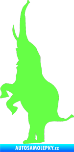 Samolepka Slon 020 levá Fluorescentní zelená