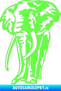 Samolepka Slon 025 levá Fluorescentní zelená