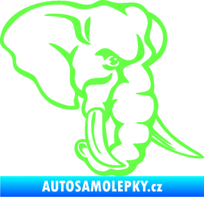 Samolepka Slon 026 pravá hlava Fluorescentní zelená