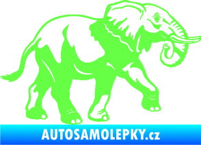 Samolepka Slon 028 pravá Fluorescentní zelená
