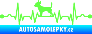 Samolepka Srdeční tep 006 levá čivava Fluorescentní zelená
