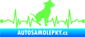 Samolepka Srdeční tep 007 pravá pitbull Fluorescentní zelená