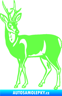 Samolepka Srnec 005 levá Fluorescentní zelená