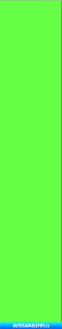 Samolepka Startovní číslo 1 Fluorescentní zelená