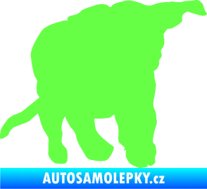 Samolepka Štěňátko 003 pravá Fluorescentní zelená