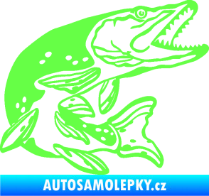 Samolepka Štika 002 pravá Fluorescentní zelená