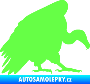 Samolepka Sup 001 pravá Fluorescentní zelená