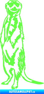 Samolepka Surikata 001 levá Fluorescentní zelená
