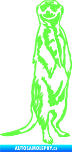 Samolepka Surikata 001 pravá Fluorescentní zelená