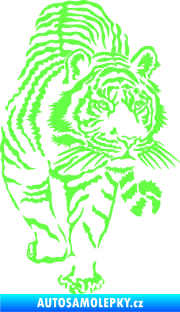 Samolepka Tygr 001 pravá Fluorescentní zelená