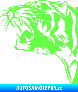 Samolepka Tygr 002 levá Fluorescentní zelená