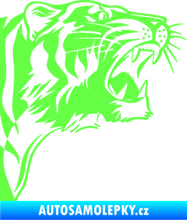 Samolepka Tygr 002 pravá Fluorescentní zelená
