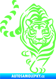 Samolepka Tygr 008 pravá Fluorescentní zelená