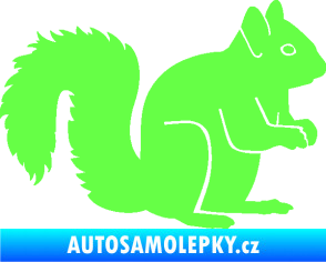 Samolepka Veverka 001 pravá Fluorescentní zelená