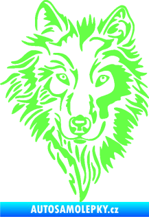 Samolepka Vlk 019 pravá Fluorescentní zelená