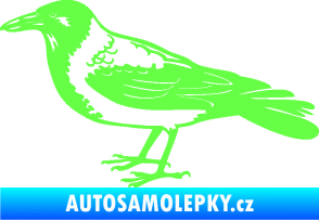 Samolepka Vrána 001 levá Fluorescentní zelená