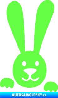 Samolepka Zajíc na bok 002 pravá Fluorescentní zelená