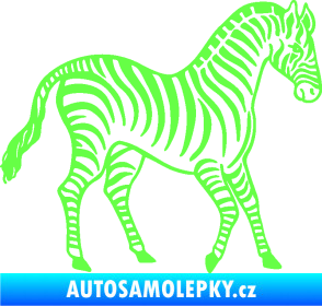 Samolepka Zebra 002 pravá Fluorescentní zelená