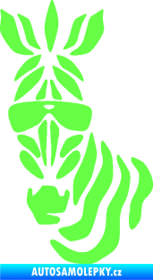 Samolepka Zebra 003 levá cool s brýlemi Fluorescentní zelená