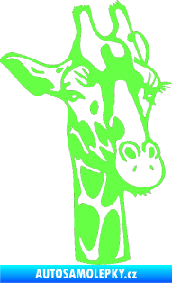 Samolepka Žirafa 001 pravá Fluorescentní zelená