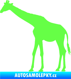 Samolepka Žirafa 002 levá Fluorescentní zelená