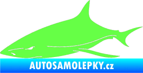 Samolepka Žralok 008 levá Fluorescentní zelená