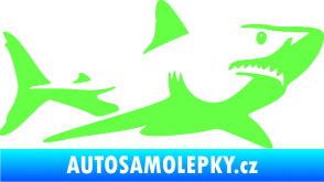 Samolepka Žralok 015 pravá Fluorescentní zelená