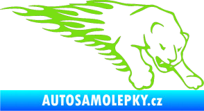 Samolepka Animal flames 020 pravá puma zelená kawasaki