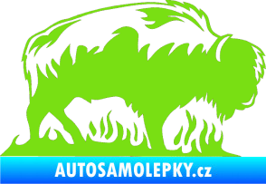 Samolepka Animal flames 071 pravá býk zelená kawasaki