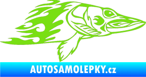 Samolepka Animal flames 074 pravá ryba zelená kawasaki