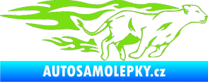 Samolepka Animal flames 084 pravá lvice zelená kawasaki