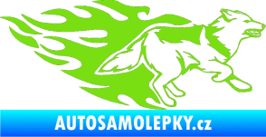 Samolepka Animal flames 090 pravá  vlk zelená kawasaki