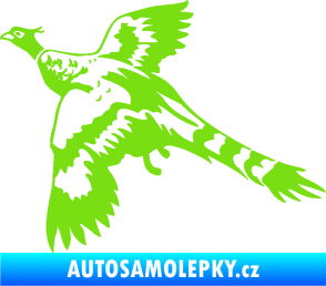 Samolepka Bažant 001 levá zelená kawasaki