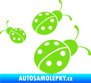 Samolepka Berušky 001 pravá zelená kawasaki