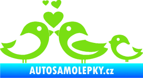 Samolepka Bird family 001 rodina v autě zelená kawasaki