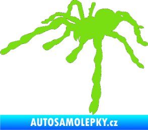 Samolepka Pavouk 013 - levá zelená kawasaki