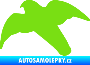 Samolepka Dravec na sklo 003 levá zelená kawasaki