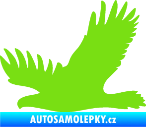 Samolepka Dravec na sklo 004 levá zelená kawasaki